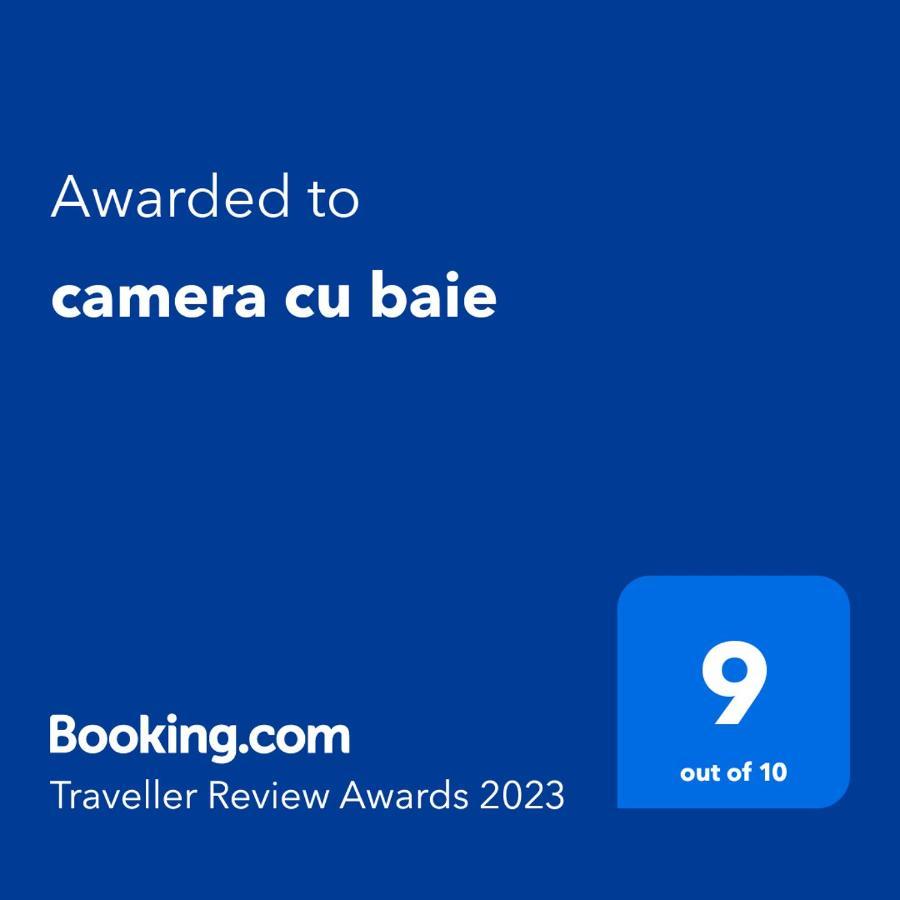 Camera Cu Baie Tina Τιμισοάρα Εξωτερικό φωτογραφία
